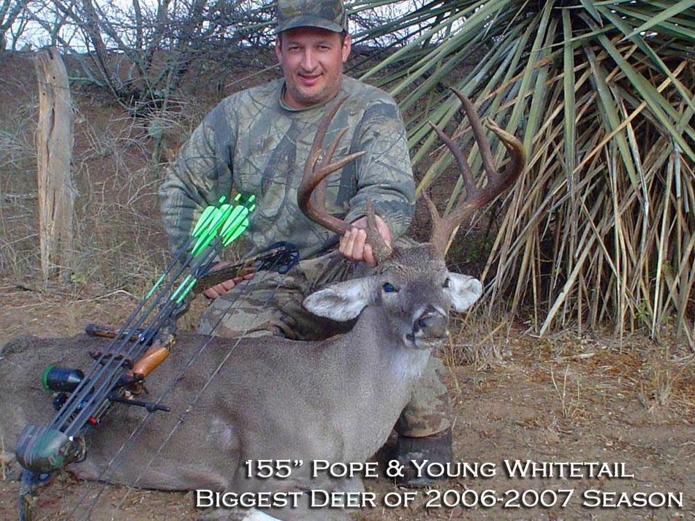 155_pope_and_young_deer