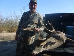 2010_cegielski_medium