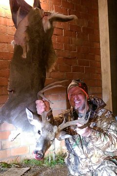 Wavertreebuck_medium