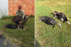 Steve_minnich_double_medium