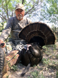 Steve_minnich_turkey_medium