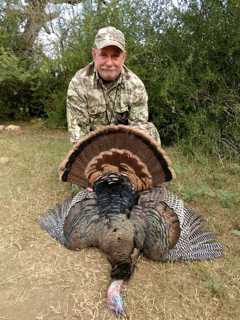 Fall_turkey_hhs_2017