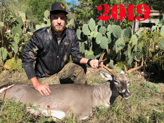 Wil-rehm-buck-4_medium