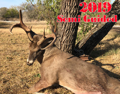 Adam-2019-buck-4_medium