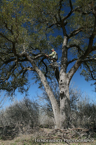 Ava & Pete Denney are the owners of Brushy HILL Trophy Bowhunting Ranch and offer some of South Texas' BEST trophy whitetail hunting, spring turkey hunting and wild boar/wild hog hunting. Brushy Hill offers some of the lowest priced, most affordable trophy bowhunting in South Texas! 100% fair chase hunting!