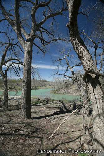 Tank in Winter.Bowhunters at Brushy Hill enjoy some of South Texas' best bowhunting at prices every bowhunter can afford. If you've dreamed of a ranch you can afford to bowhunt year-round, check out Brushy Hill Ranch! 